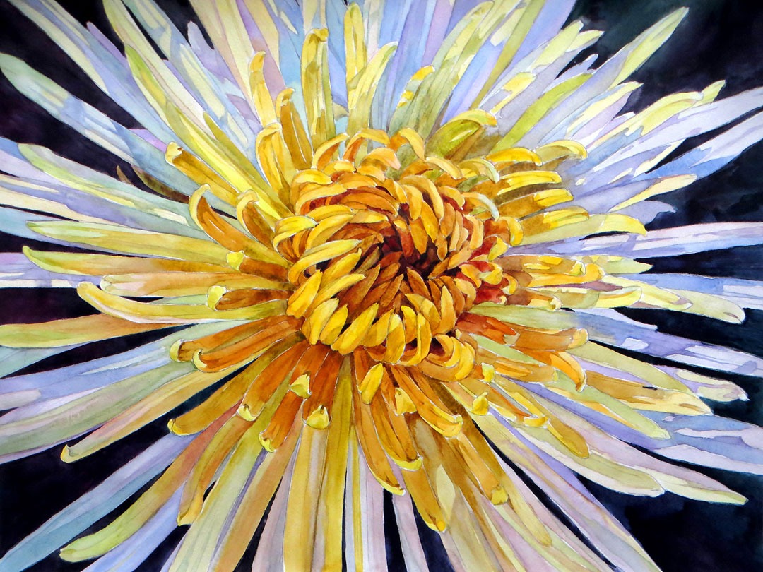 Chrysanthemum - 55 x 42 cm