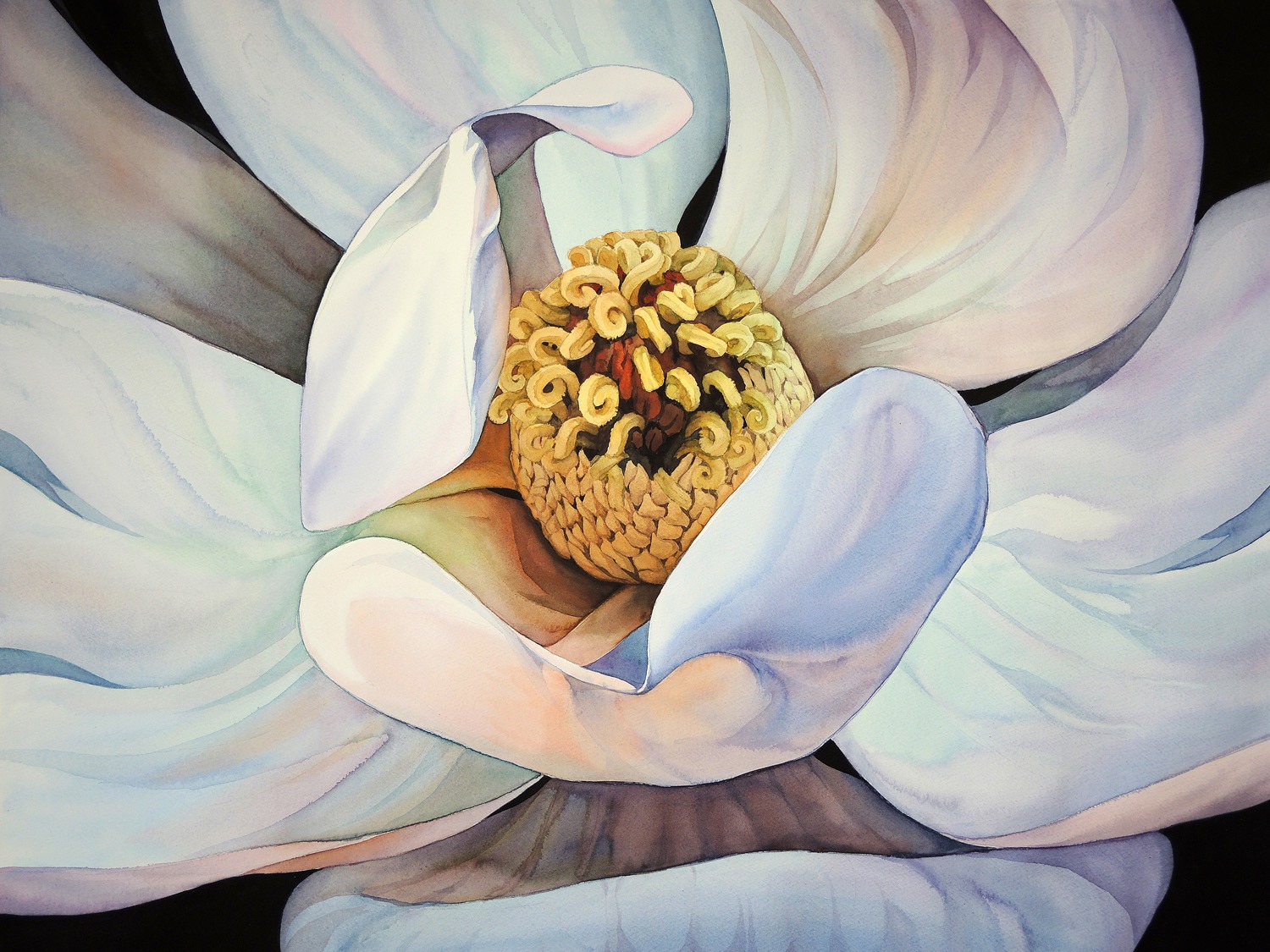 Magnolia Sunny Daffodil - 72 x 55 cm