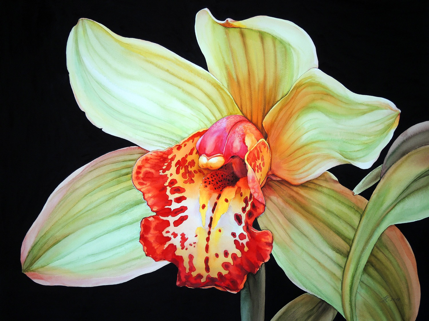 Orchid - 72 x 55 cm