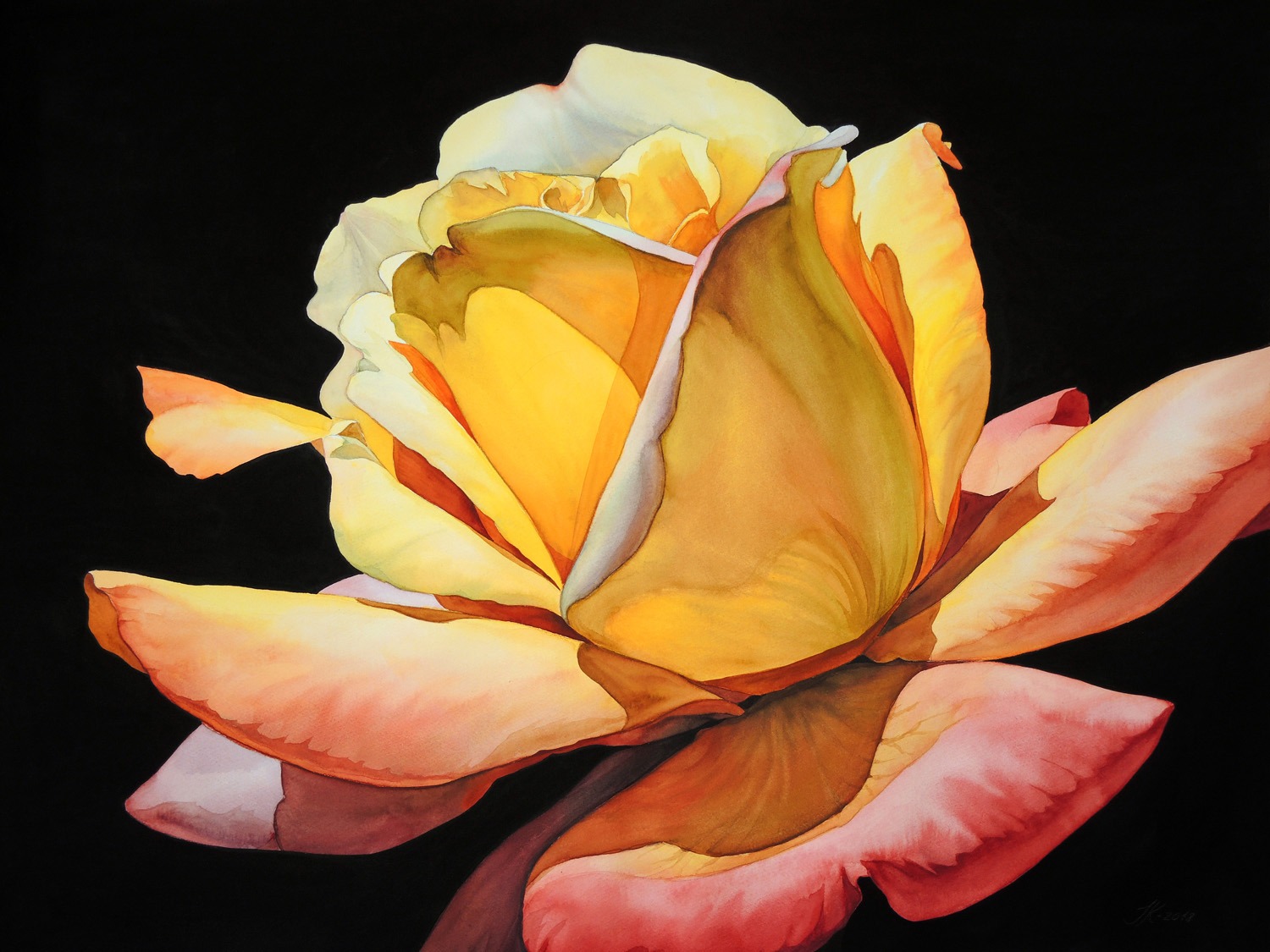 Rose - 72 x 55 cm