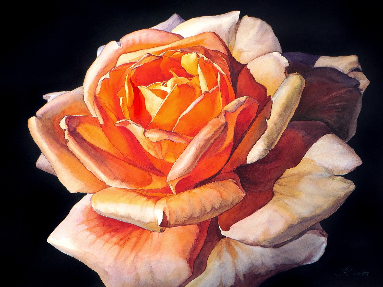 Sunny Rose - 72 x 55 cm