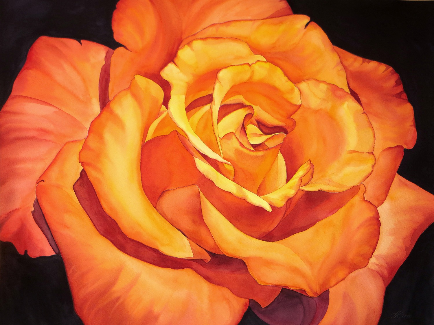 Yellow Rose - 72 x 55 cm